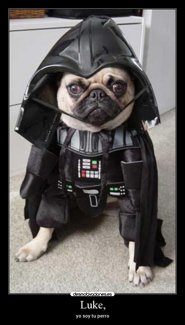 carteles darth vader animales perros lmolotov desmotivaciones