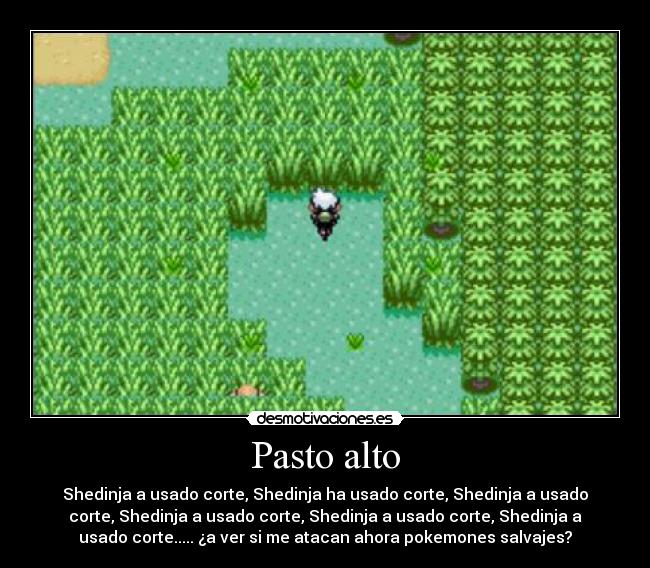 Pasto alto - Shedinja a usado corte, Shedinja ha usado corte, Shedinja a usado
corte, Shedinja a usado corte, Shedinja a usado corte, Shedinja a
usado corte..... ¿a ver si me atacan ahora pokemones salvajes?