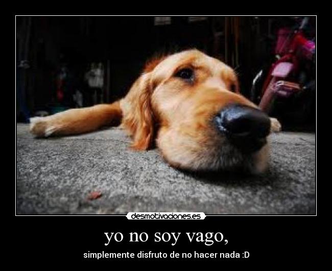 yo no soy vago, - simplemente disfruto de no hacer nada :D