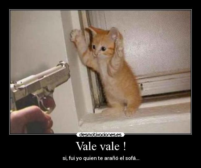 Vale vale ! - si, fui yo quien te arañó el sofá...