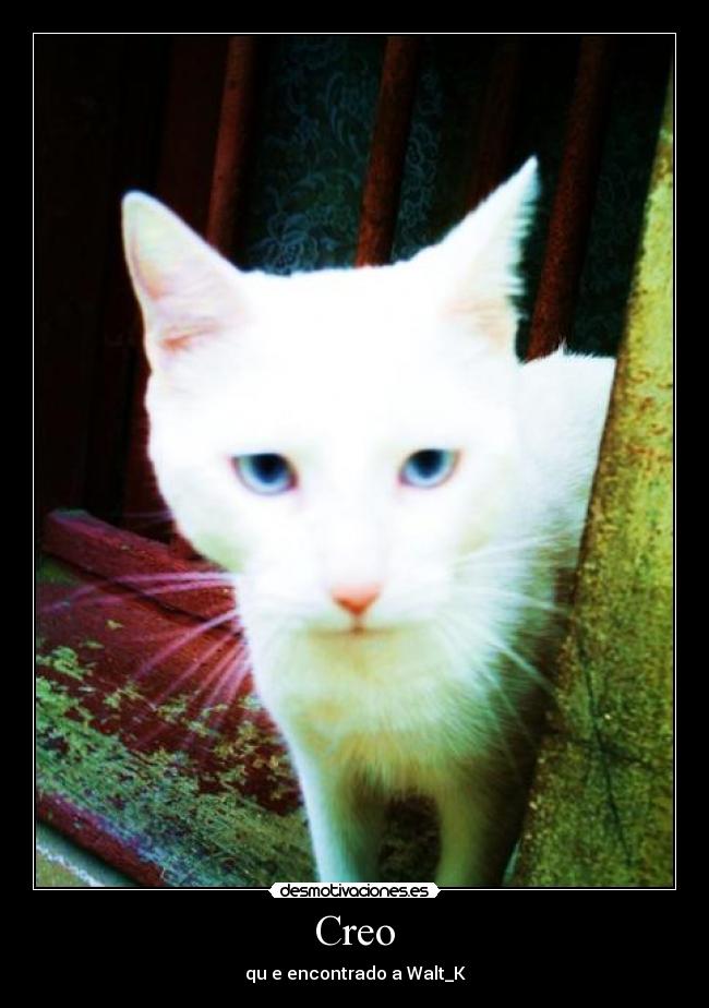 Creo - qu e encontrado a Walt_K