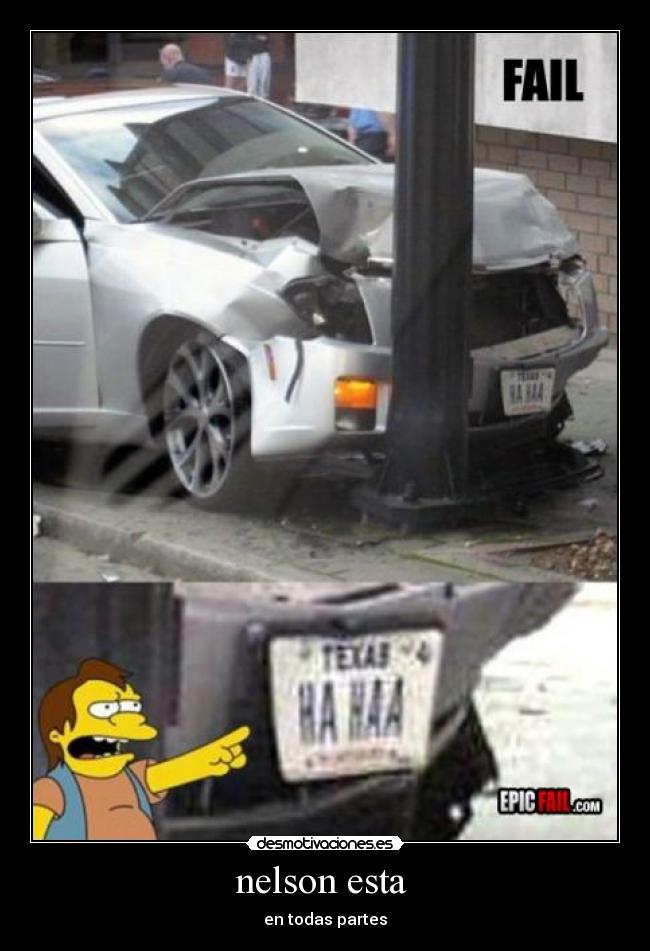 nelson esta - en todas partes