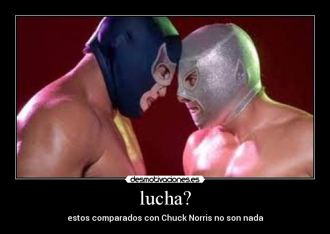 lucha? - estos comparados con Chuck Norris no son nada