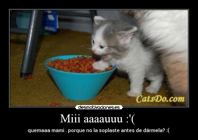 Miii aaaauuu :(  - 