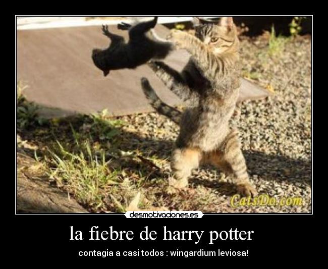 la fiebre de harry potter  - contagia a casi todos : wingardium leviosa! 