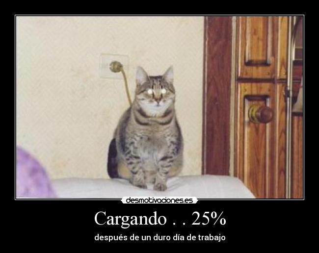 Cargando . . 25% -