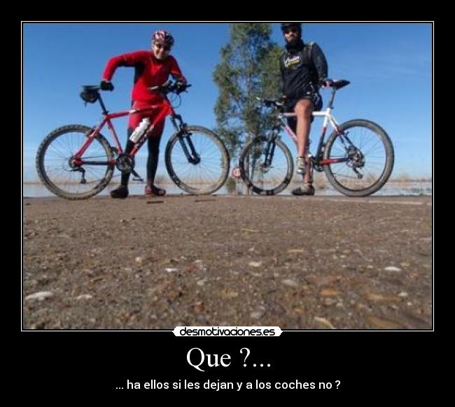 Que ?... - ... ha ellos si les dejan y a los coches no ?