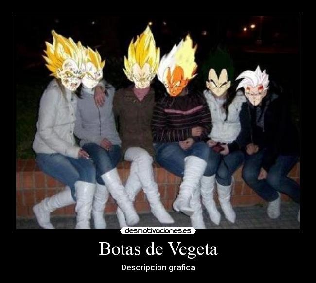 Botas de Vegeta - Descripción grafica