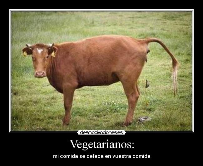 Vegetarianos: - mi comida se defeca en vuestra comida