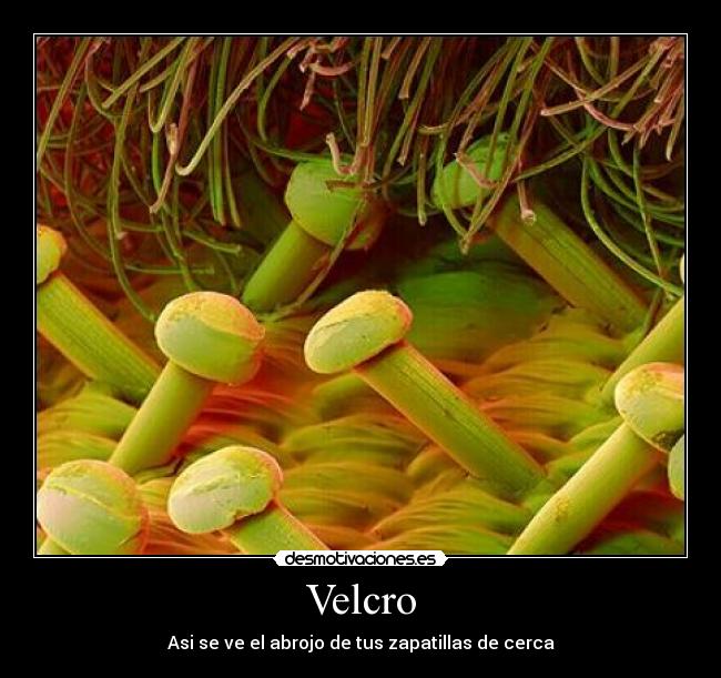 Velcro -