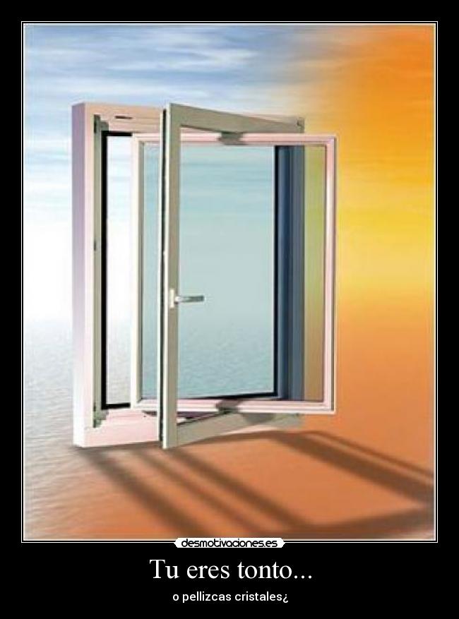 Tu eres tonto... - 