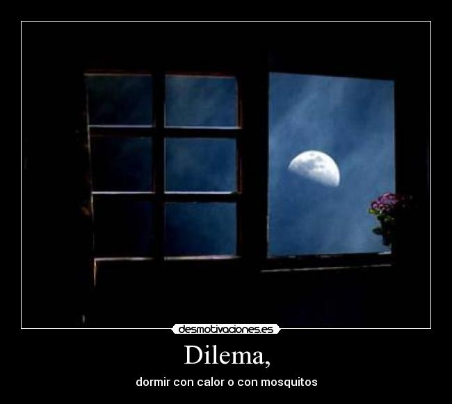 Dilema, - dormir con calor o con mosquitos