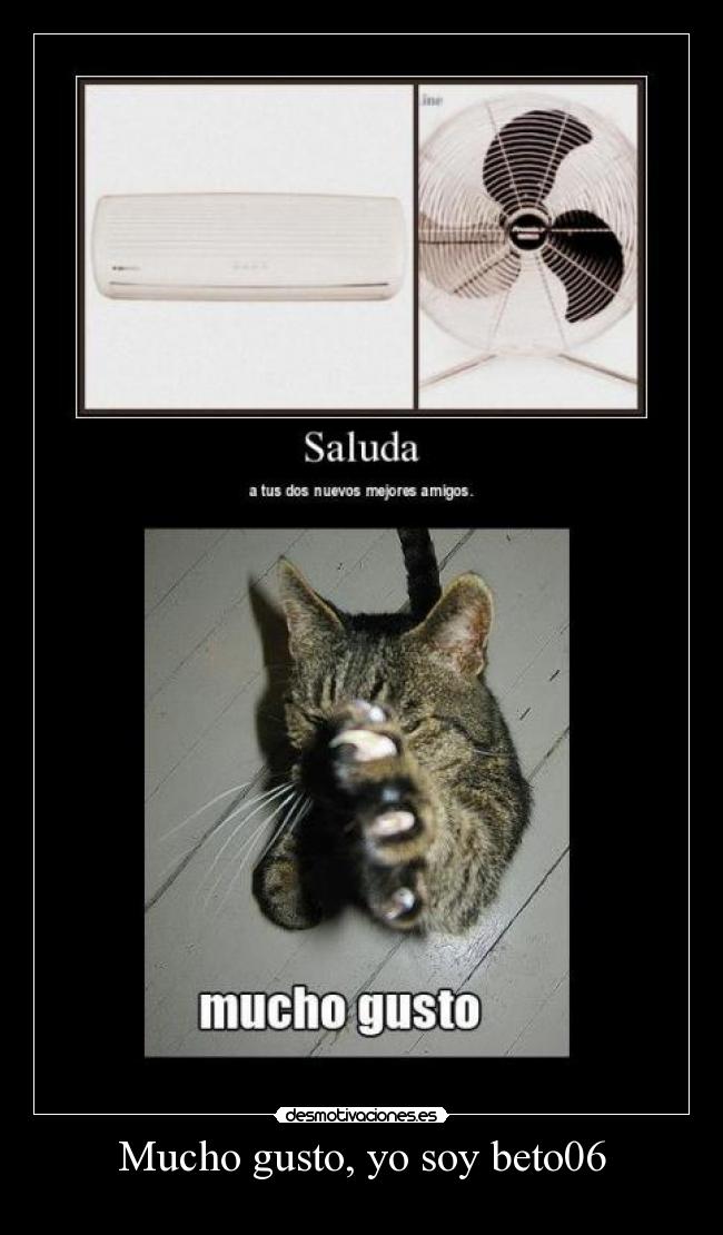 Mucho gusto, yo soy beto06 - 