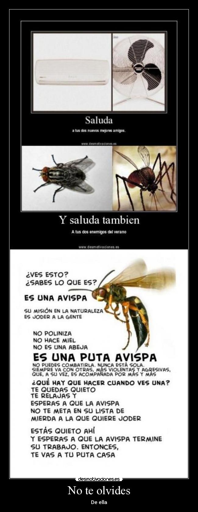 No te olvides - De ella