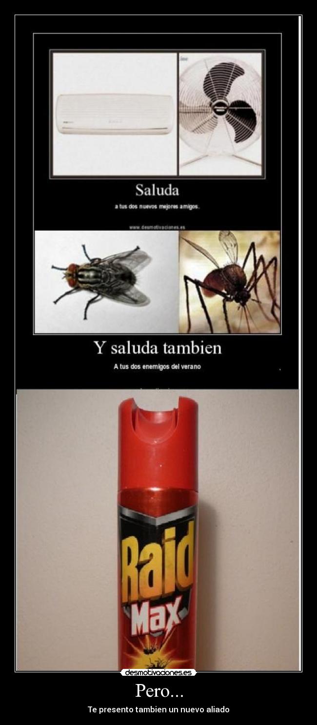 Pero... - Te presento tambien un nuevo aliado