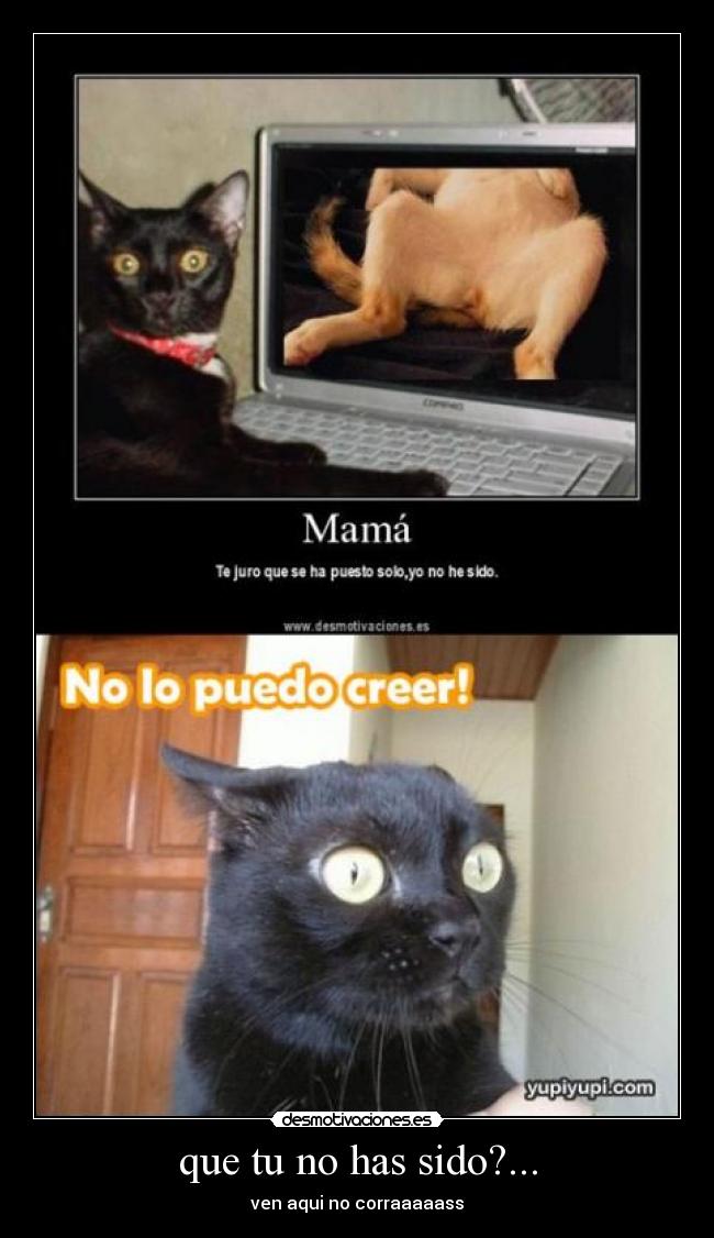 que tu no has sido?... - ven aqui no corraaaaass