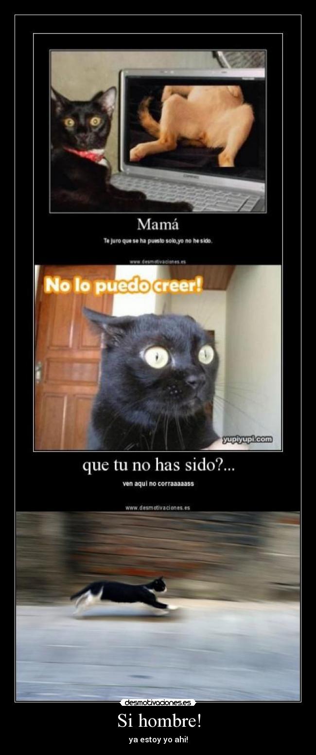 Si hombre! - ya estoy yo ahi!