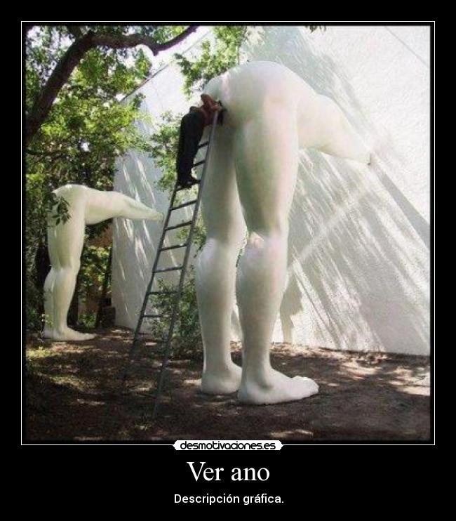 Ver ano - Descripción gráfica.