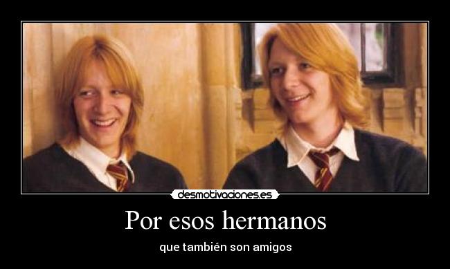 carteles harry potter por esos hermanos que son amigos desmotivaciones