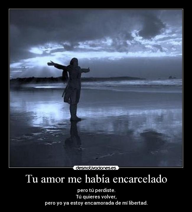 carteles amor amor encarcelar perder volver enamorarse libertad desmotivaciones