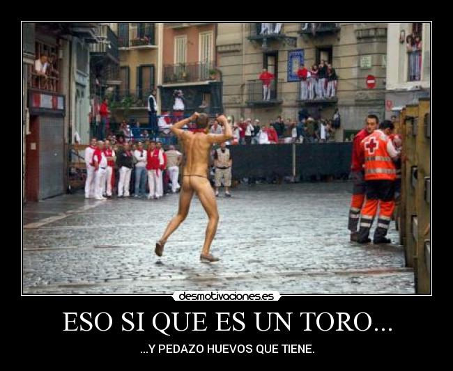 ESO SI QUE ES UN TORO... - ...Y PEDAZO HUEVOS QUE TIENE.