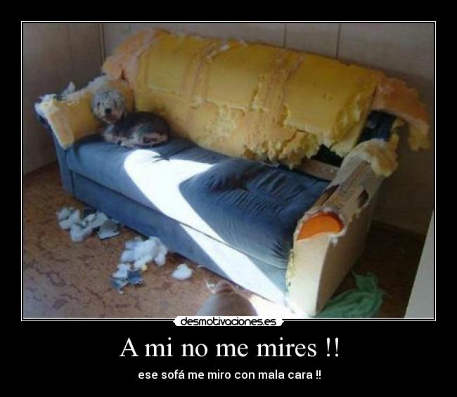 A mi no me mires !! -