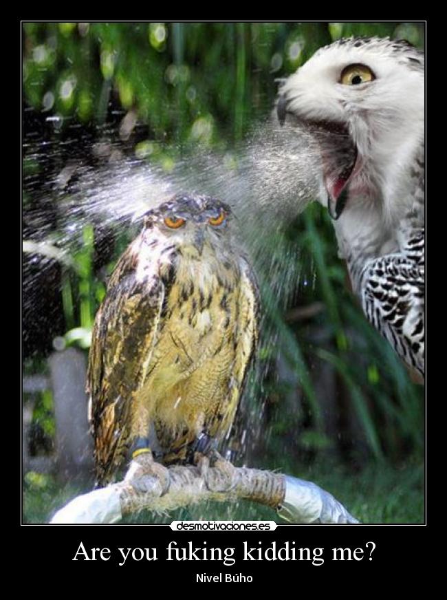 Are you fuking kidding me? - 