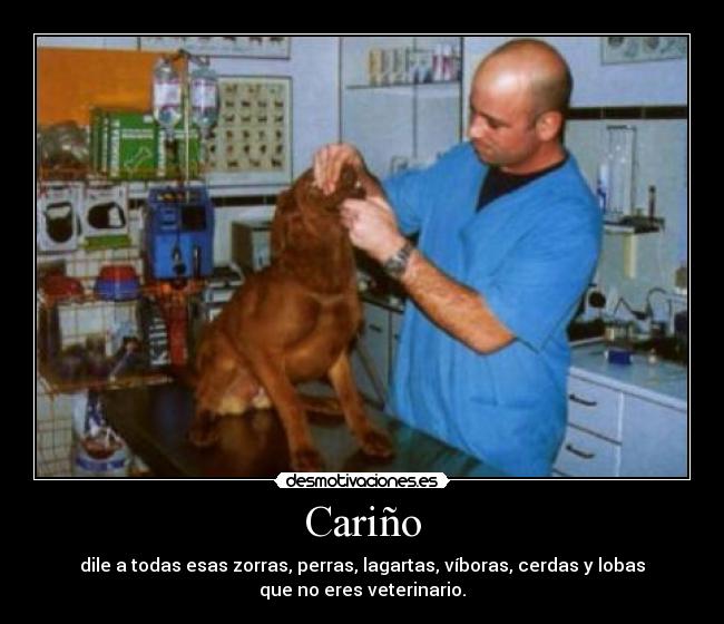 Cariño - dile a todas esas zorras, perras, lagartas, víboras, cerdas y lobas
que no eres veterinario.