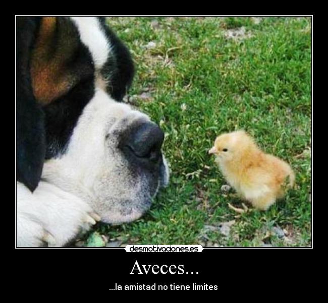 Aveces... - ...la amistad no tiene limites