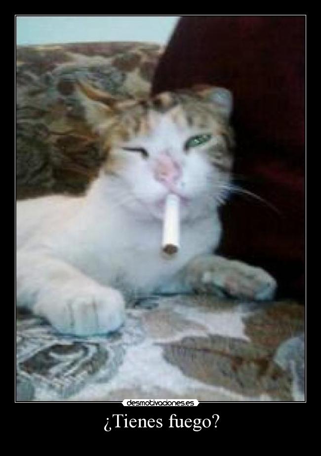 ¿Tienes fuego? - 