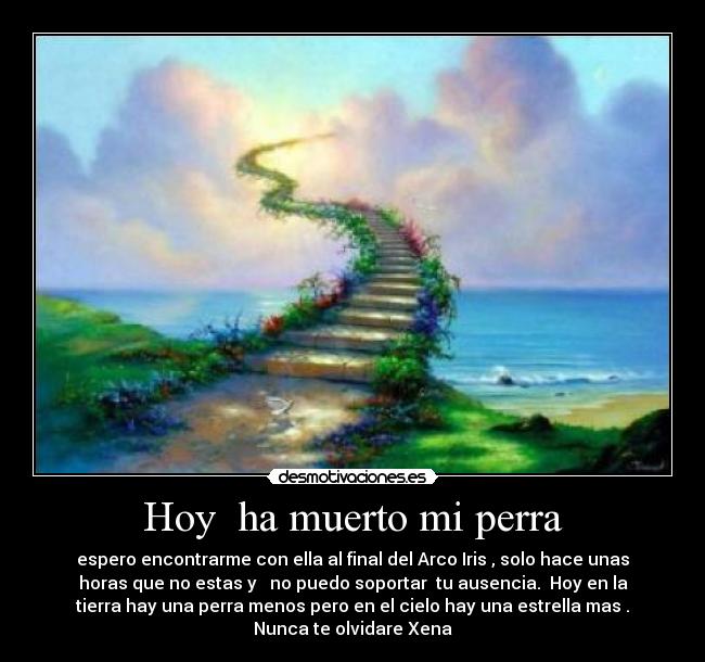 Hoy  ha muerto mi perra - 