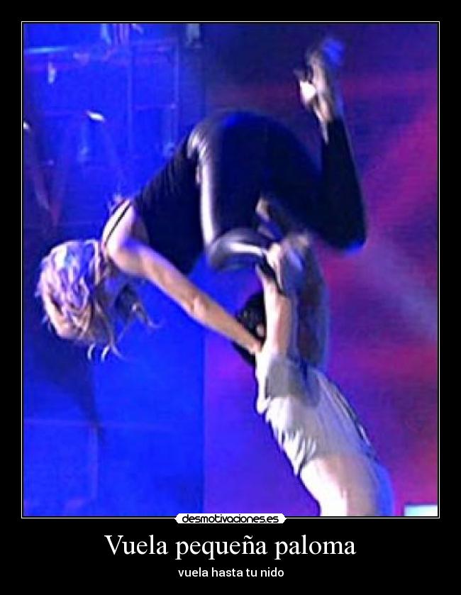 Vuela pequeña paloma - 