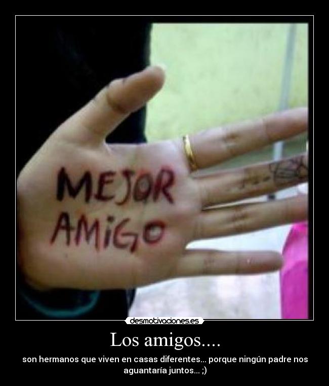 Los amigos.... -