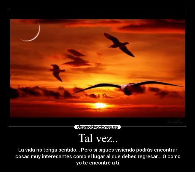 carteles koutaro desmotivaciones