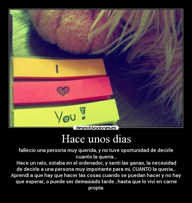 Hace unos dias - fallecio una persona muy querida, y no tuve oportunidad de decirle
cuanto la queria...
Hace un rato, estaba en el ordenador, y senti las ganas, la necesidad
de decirle a una persona muy importante para mi, CUANTO la queria...
Aprendi a que hay que hacer las cosas cuando se puedan hacer y no hay
que esperar, o puede ser demasiado tarde...hasta que lo vivi en carne
propia.
