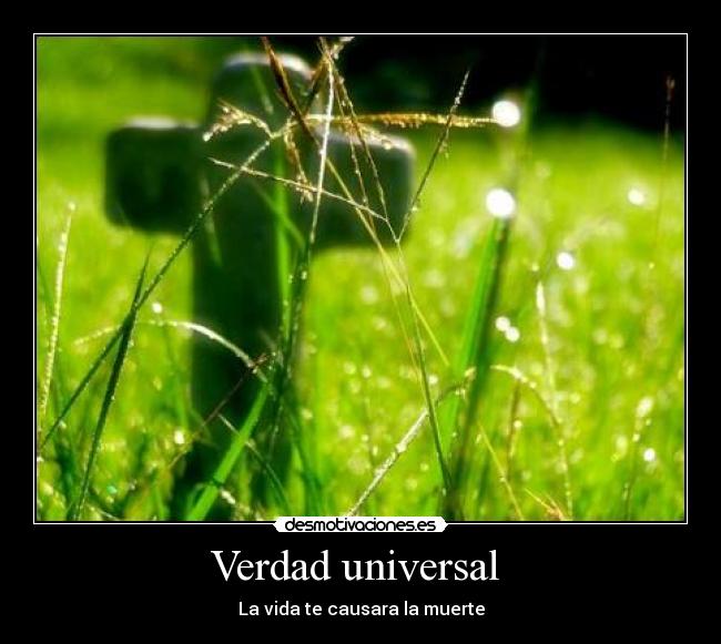 Verdad universal  - 
