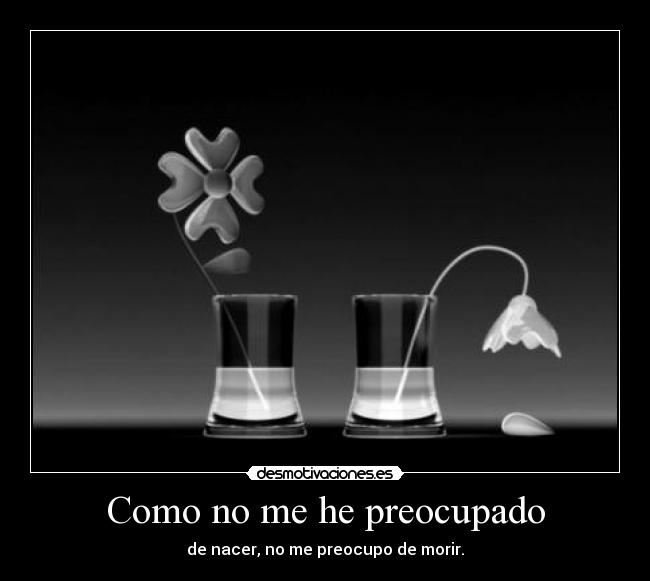Como no me he preocupado -