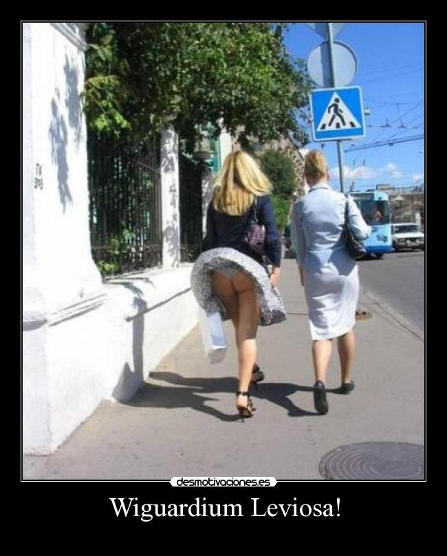 Wiguardium Leviosa! -