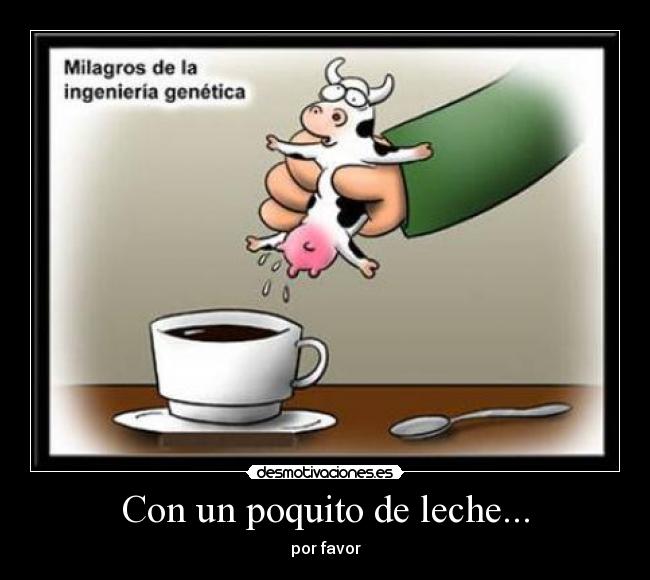 Con un poquito de leche... - 