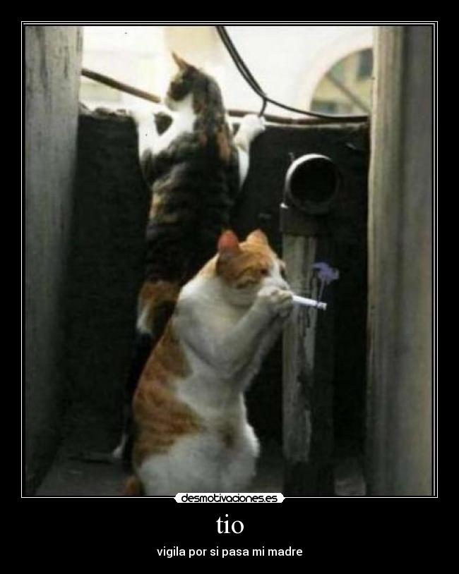 tio - vigila por si pasa mi madre