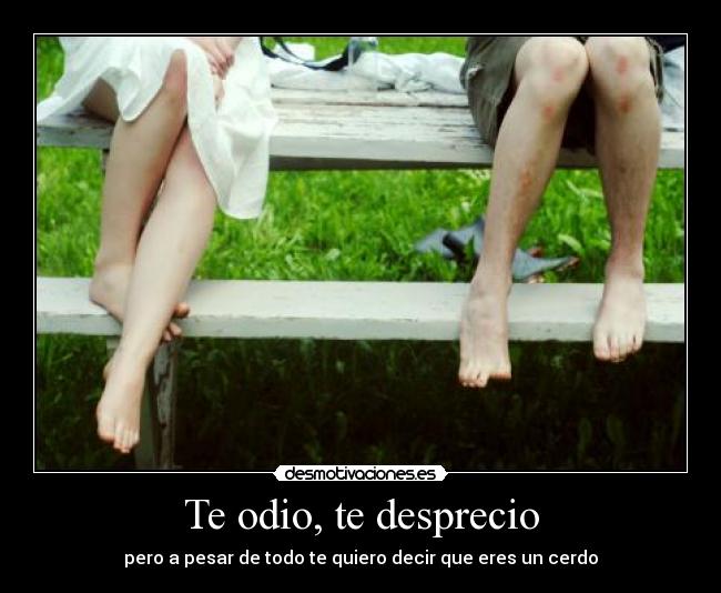 Te odio, te desprecio - pero a pesar de todo te quiero decir que eres un cerdo