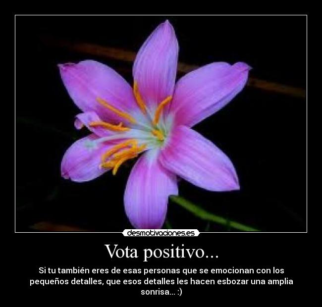 Vota positivo... - Si tu también eres de esas personas que se emocionan con los
pequeños detalles, que esos detalles les hacen esbozar una amplia
sonrisa... :)