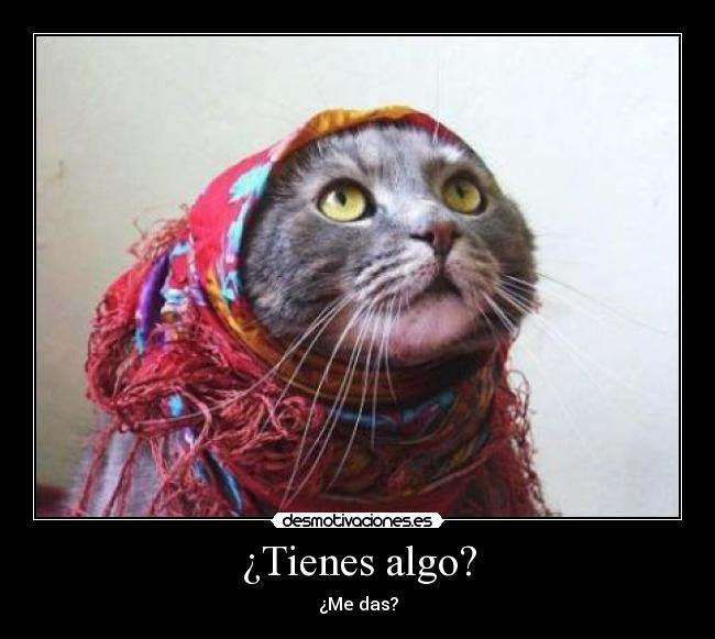 ¿Tienes algo? - ¿Me das?