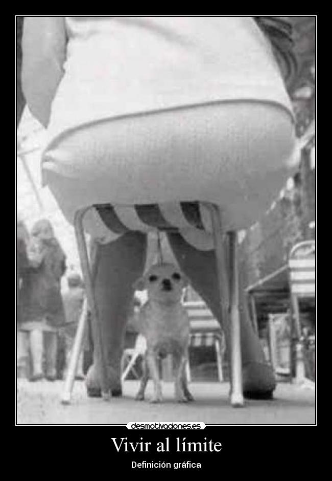 Vivir al límite -