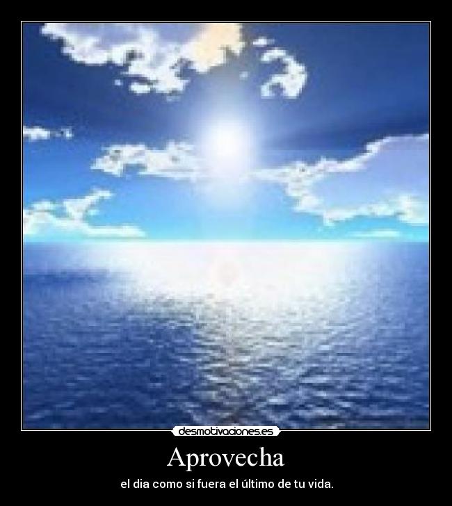 Aprovecha - el dia como si fuera el último de tu vida.