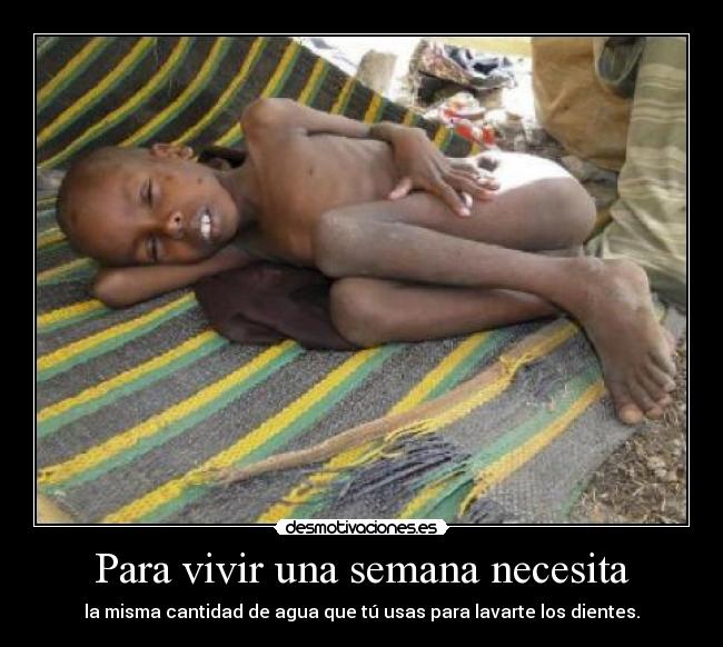 Para vivir una semana necesita -