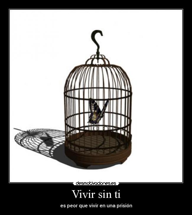 Vivir sin ti -