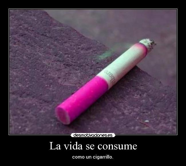 La vida se consume -