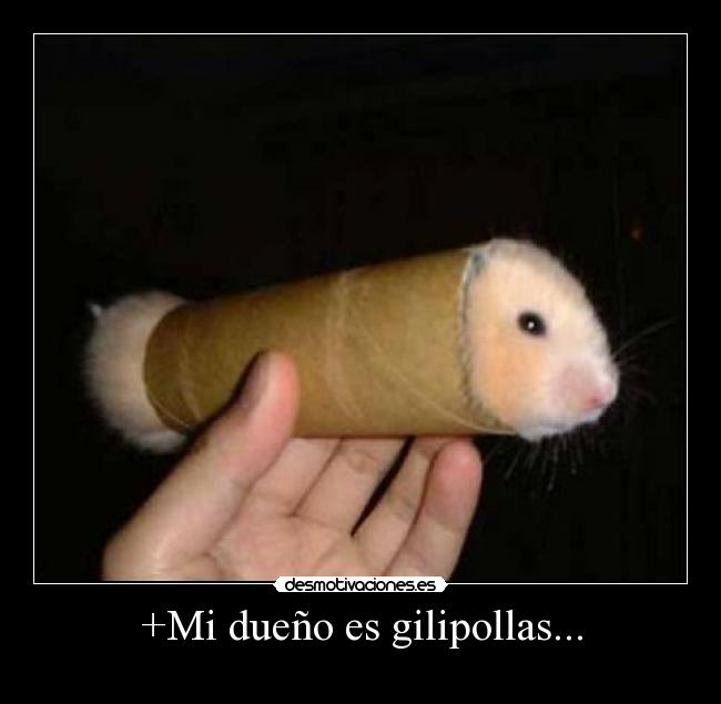 +Mi dueño es gilipollas... -