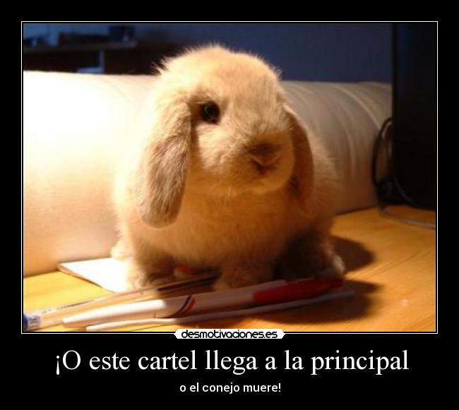 ¡O este cartel llega a la principal -